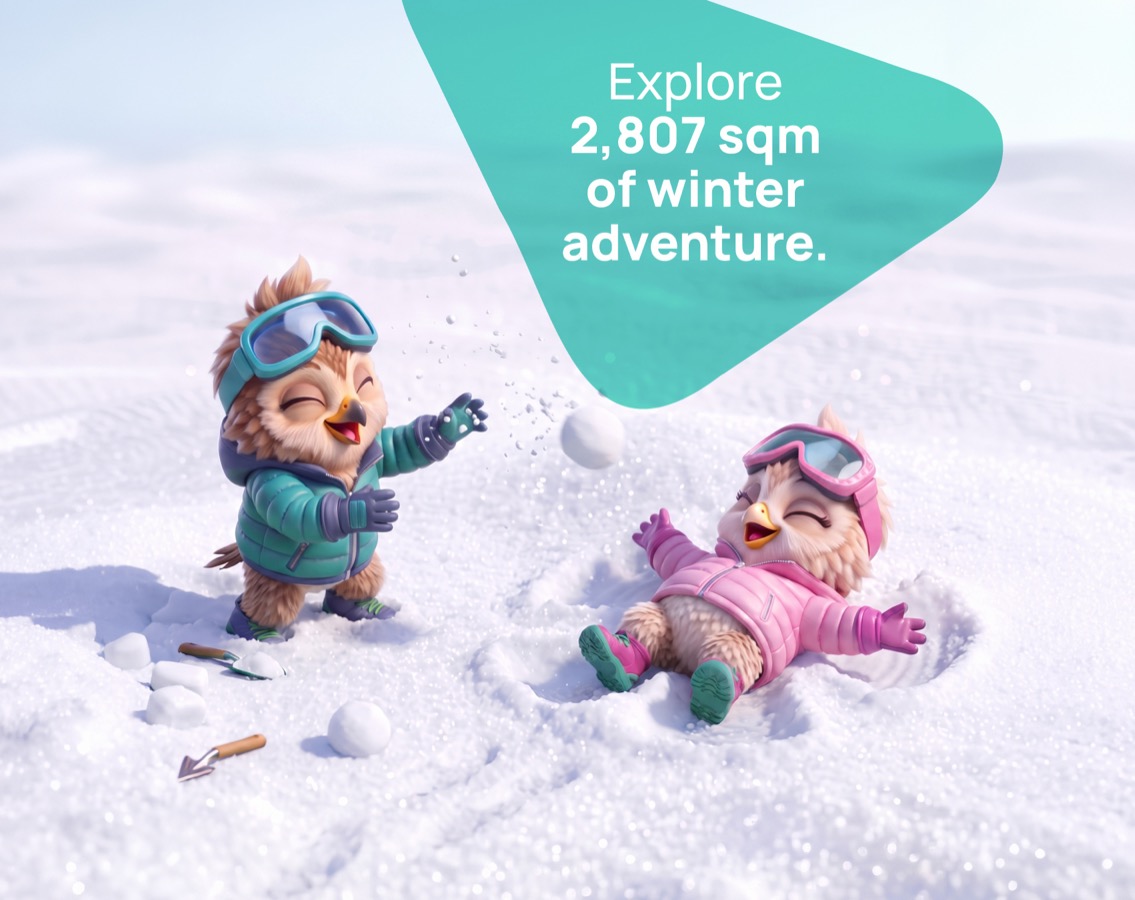Snow Fun